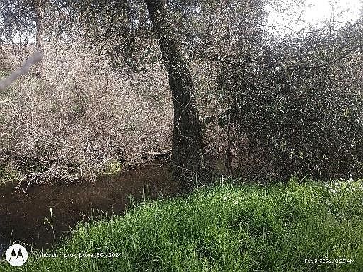 4th image of 7824 Bollea Rd