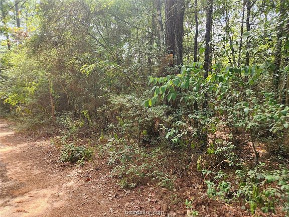 5th image of LOT 2 Cherry Tree Ln
