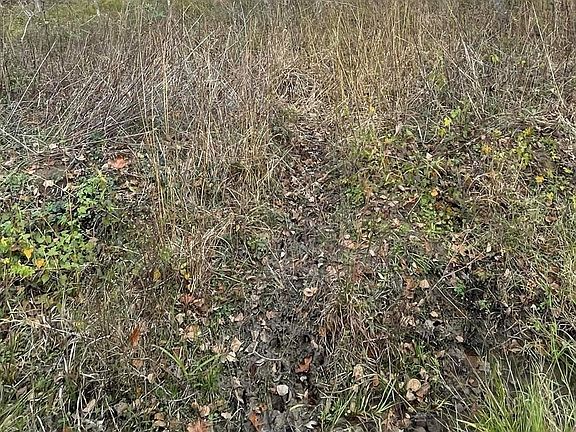 2nd image of Casey Rd