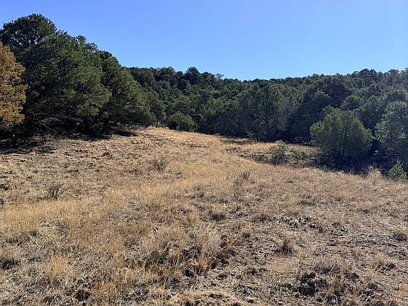 3rd image of Tbd Lower Mines Rd