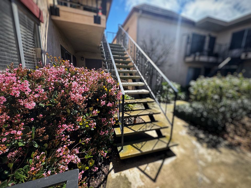 Flowers blooming