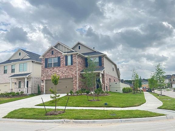 5th image of 17697 Tree Of Heaven