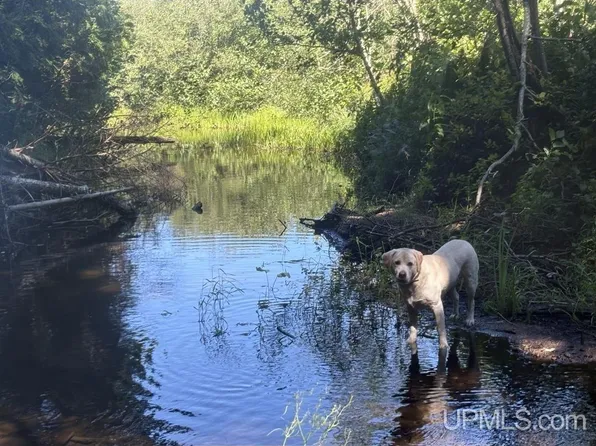 94/ACRE S Peter White Rd, Deerton, MI 49822