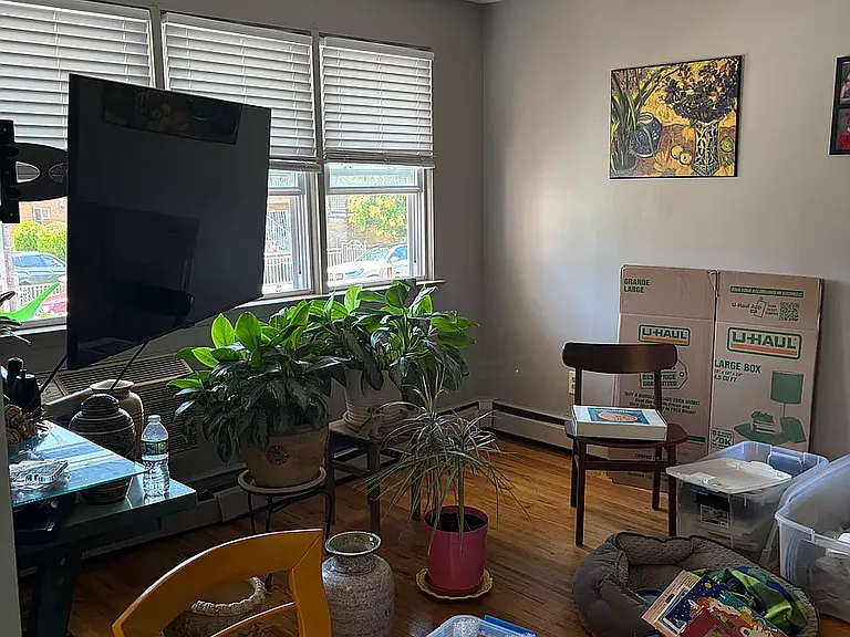 208 Bay 44th St #2 — Photo 5