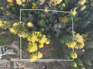 0 Path In The Woods, Berry Creek, CA