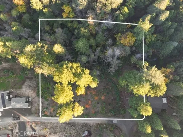 0 Path In The Woods, Berry Creek, CA 95916