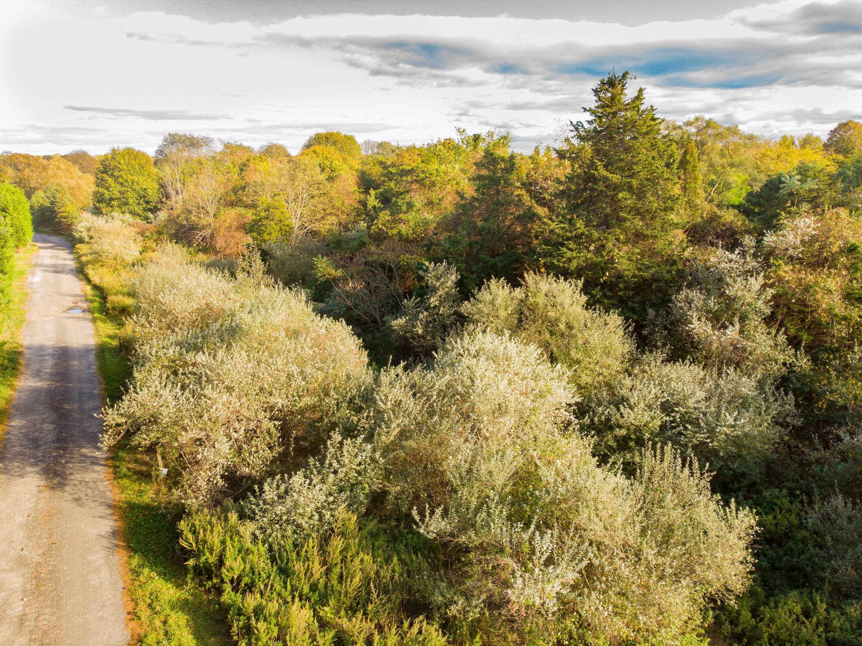 50 Tuckahoe Ln, Southampton, NY 11968 Out East