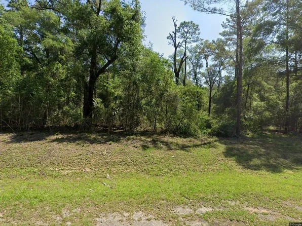 1443 E Odin Dr, Citrus Springs, FL 34434