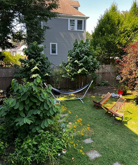 163 Roslindale Ave #2 — Photo 20