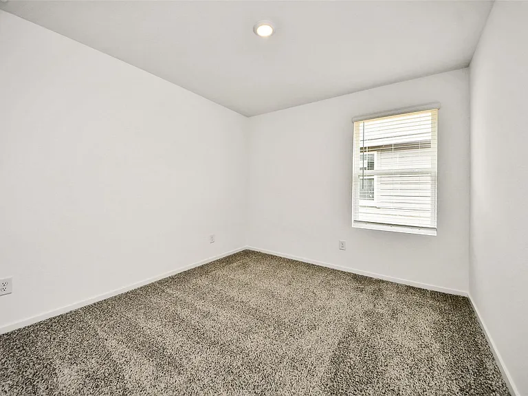 27458 Serene Pine Dr — Photo 24