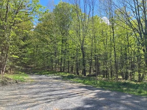 00 Bill T Drive, Readsboro, VT 05350