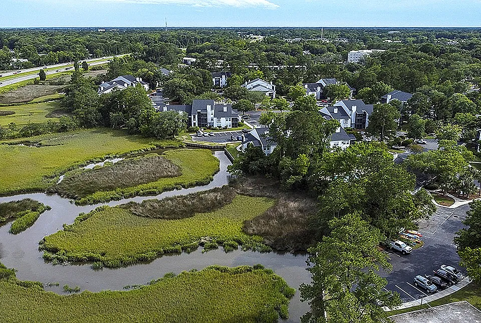 The Edge of the Marsh
