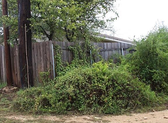 Another view of privacy fence.