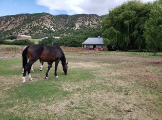 2195 E Sopris Creek Rd, Basalt, CO 81621