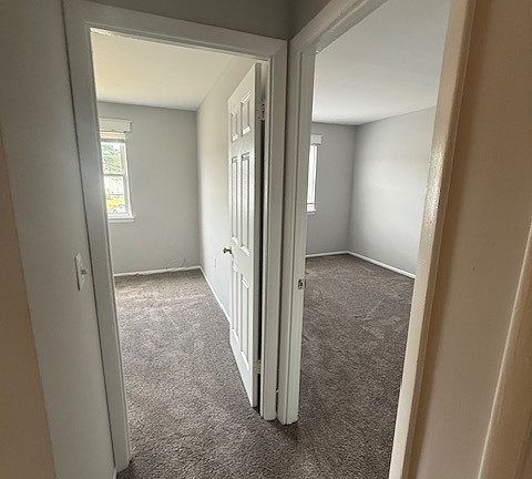 5th image of 115 Halsey Dr