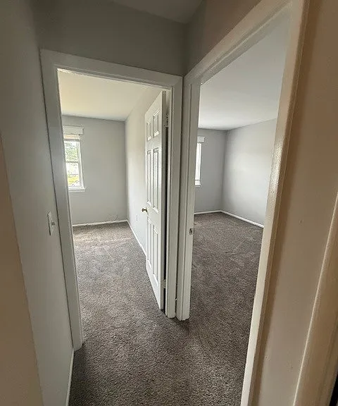 115 Halsey Dr — Photo 5