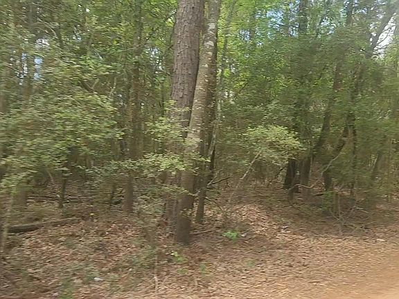 5th image of LOT 1 Thornwood Dr