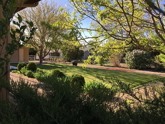 Backyard looking West