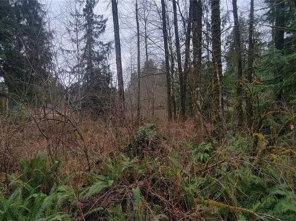 11228 312th Avenue NE, Carnation, WA 98014