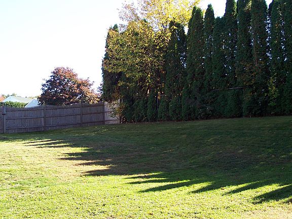 Sprawling private back yard lined with trees and brook