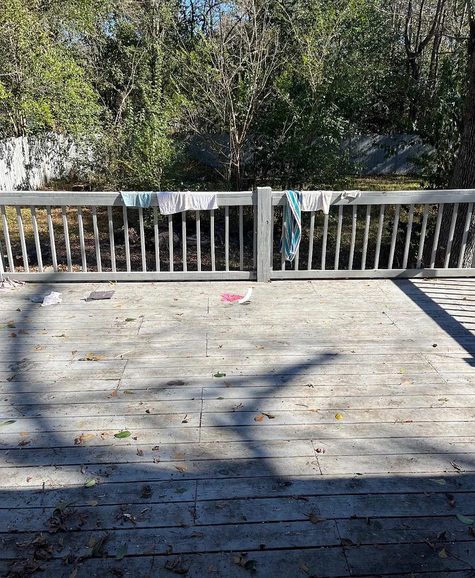 3171 Bonanza Dr — Photo 3