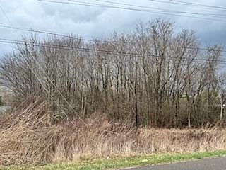 1st image of 0 Cattail Rd