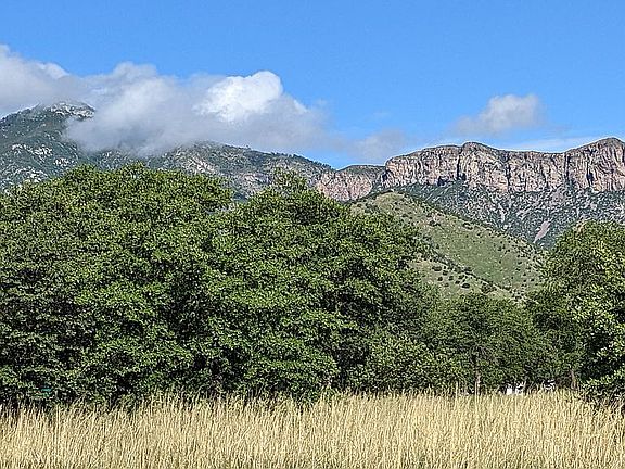 Huachuca Mtn view.