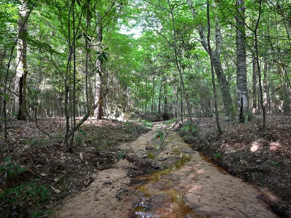 County Road 2150, Woodville, TX 75979