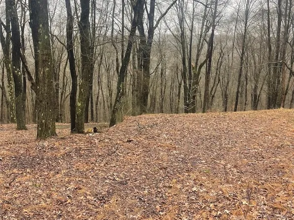 LOT 5 Blauser Ln, Petrolia, PA 16050