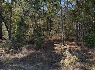 7093 N Regent Ter, Citrus Springs, FL 34433