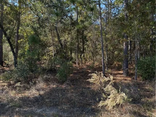 7093 N Regent Ter, Citrus Springs, FL 34433