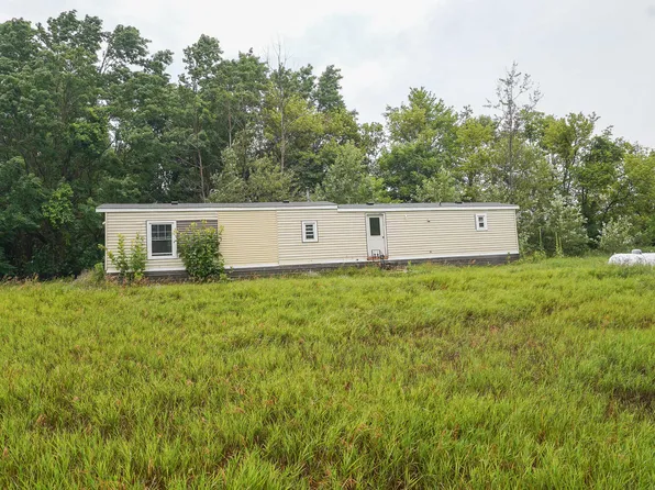 4685 W Fritz Rd, Stanton, MI 48888