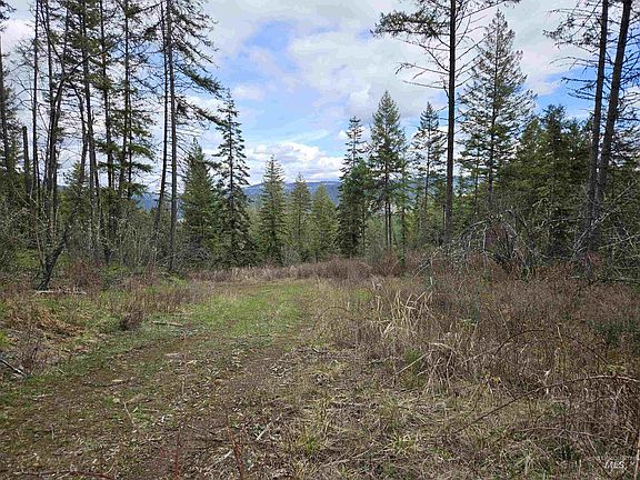 4th image of Obrien Rd