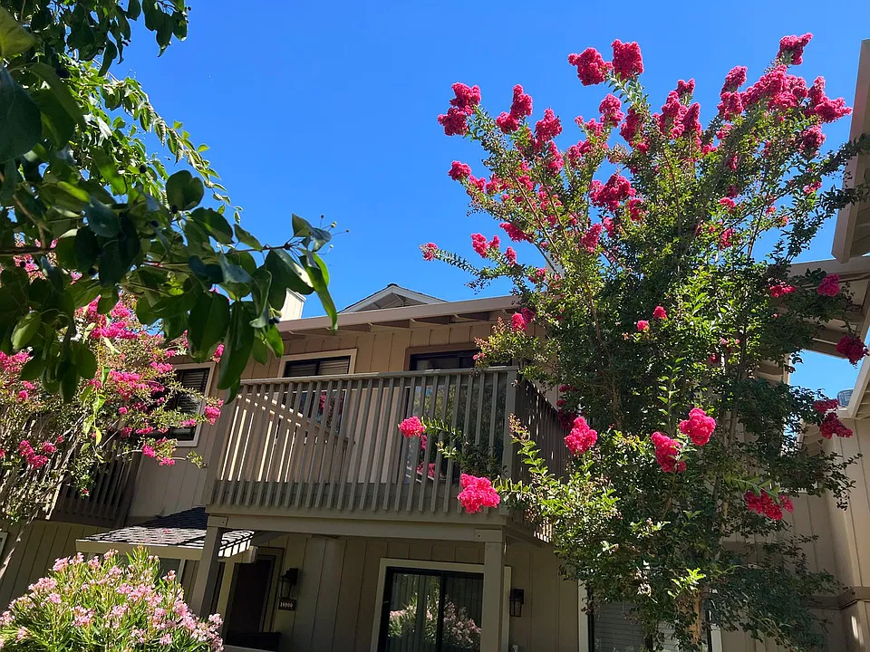18898 Sara Park Cir