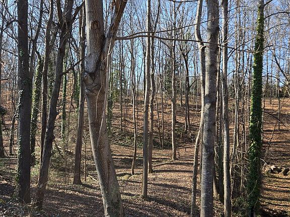 4th image of 0 Spring Valley Ln