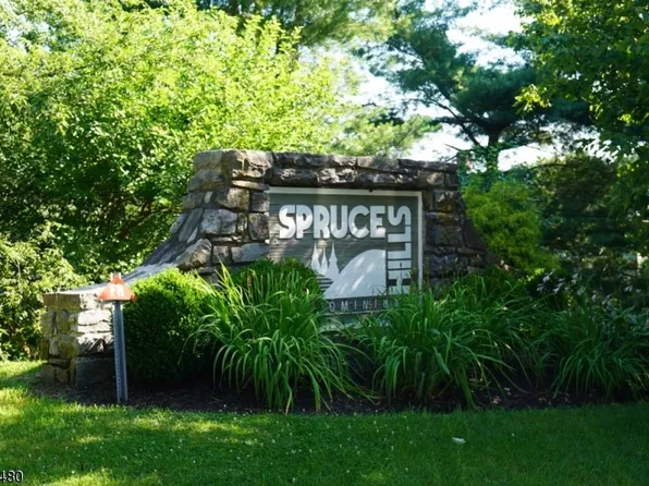 1706 Spruce Hills Dr, Glen Gardner Boro, NJ 08826