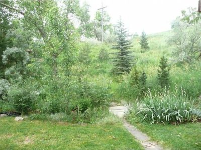 Backyard - Seasonal Creek