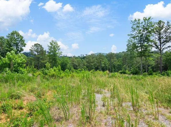 196 Oak Park Dr, Talking Rock, GA 30175