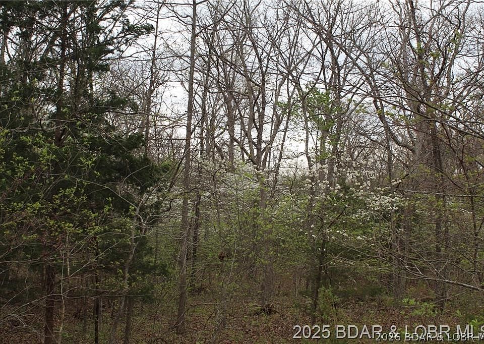1st image of 15516 Highway P