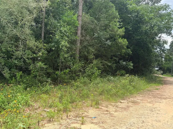LOT 1 Millcreek Dr, Woodville, TX 75979