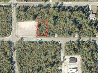8 Fisher Pass LOT 8, Ocklawaha, FL 32179
