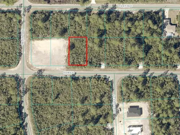 8 Fisher Pass Lot 8, Ocklawaha, FL 32179