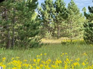 W 46th Rd, Cadillac, MI 49601