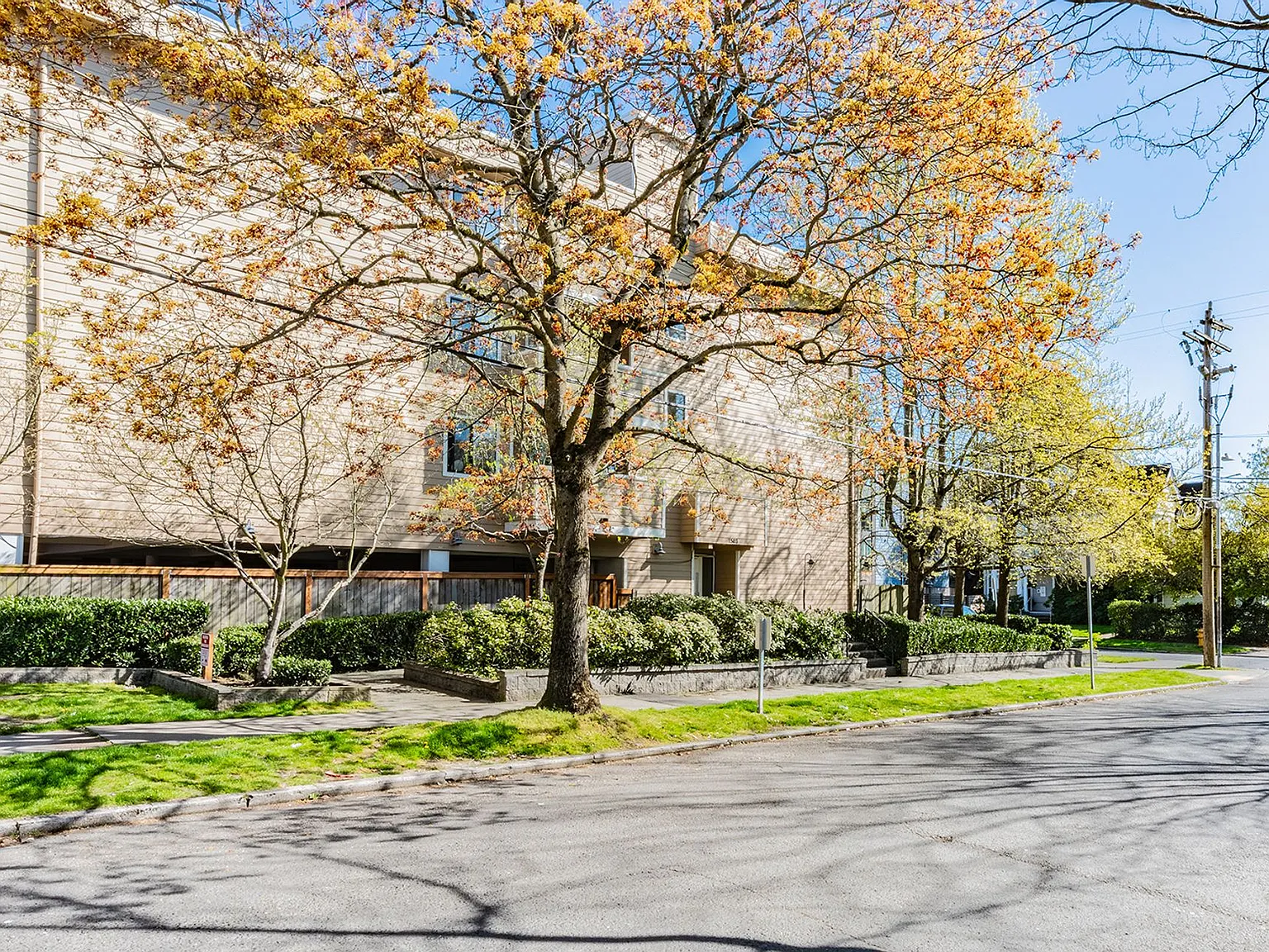 Park Royal Apartments — Photo 2