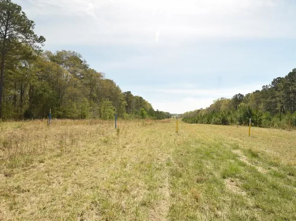 498 Zebulon Rd, Milner, GA 30257