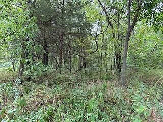 2nd image of Tract 1 Business 60 Hwy