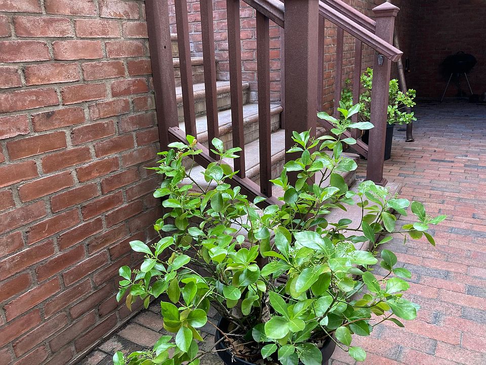 private outdoor space