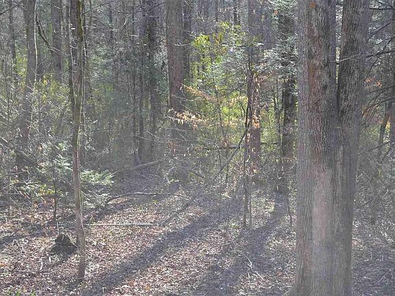 3rd image of 0 Tom Henry Rd Lot 3