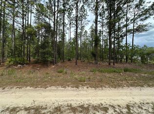 0 SW 75th St #6, Dunnellon, FL 34432