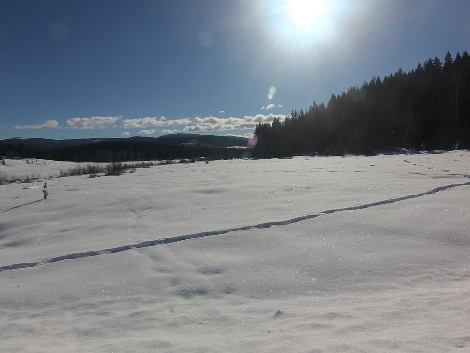 180 degree view of WF MNTS